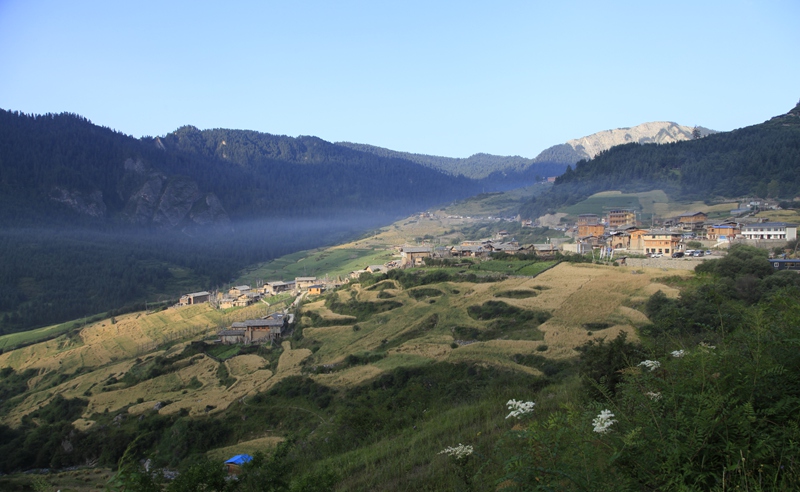 _mg_9339.jpg