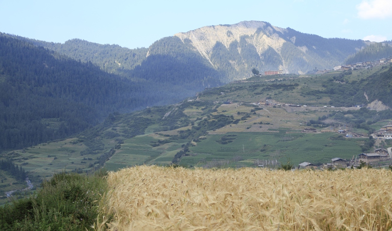_mg_9353.jpg