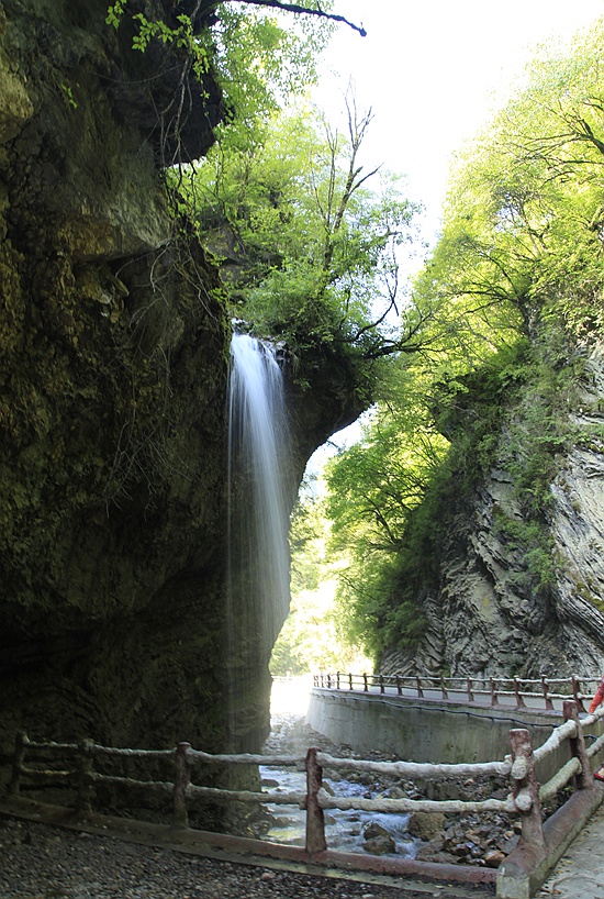 _mg_9479.jpg