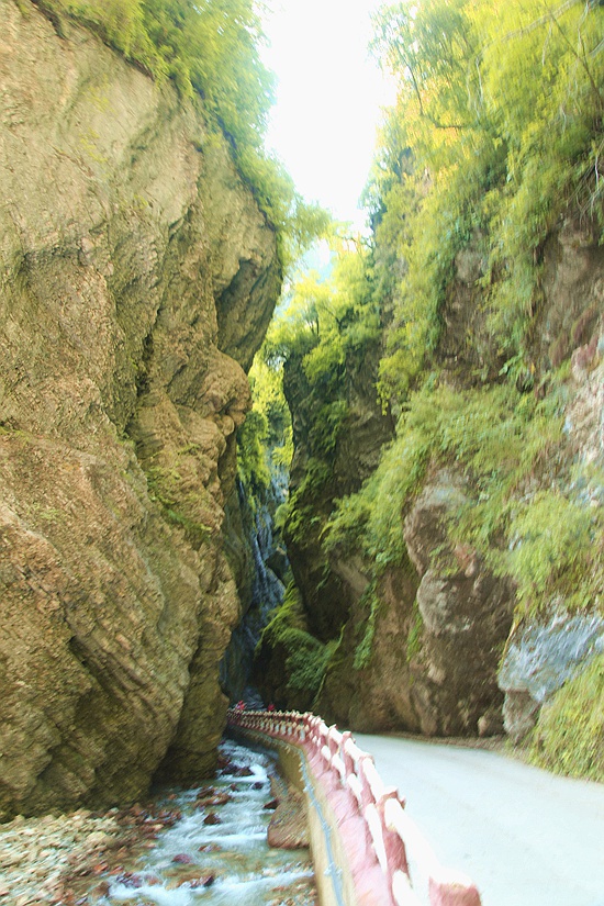 _mg_9556.jpg