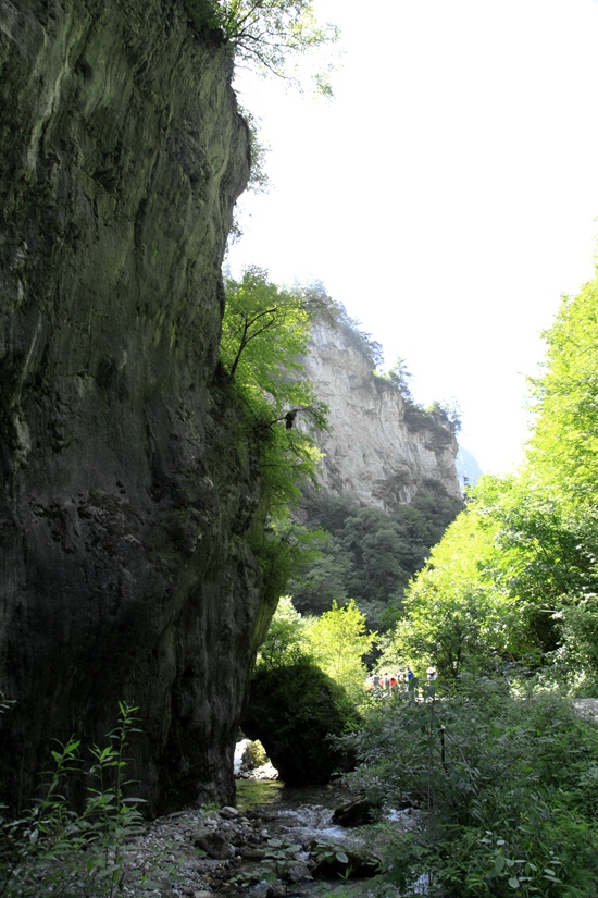 _mg_9561.jpg