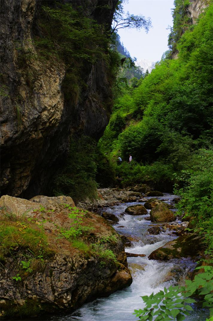_igp6580.jpg