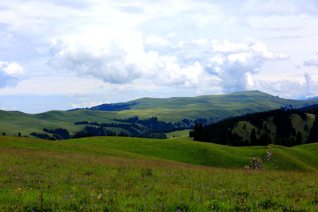 083a4231.jpg