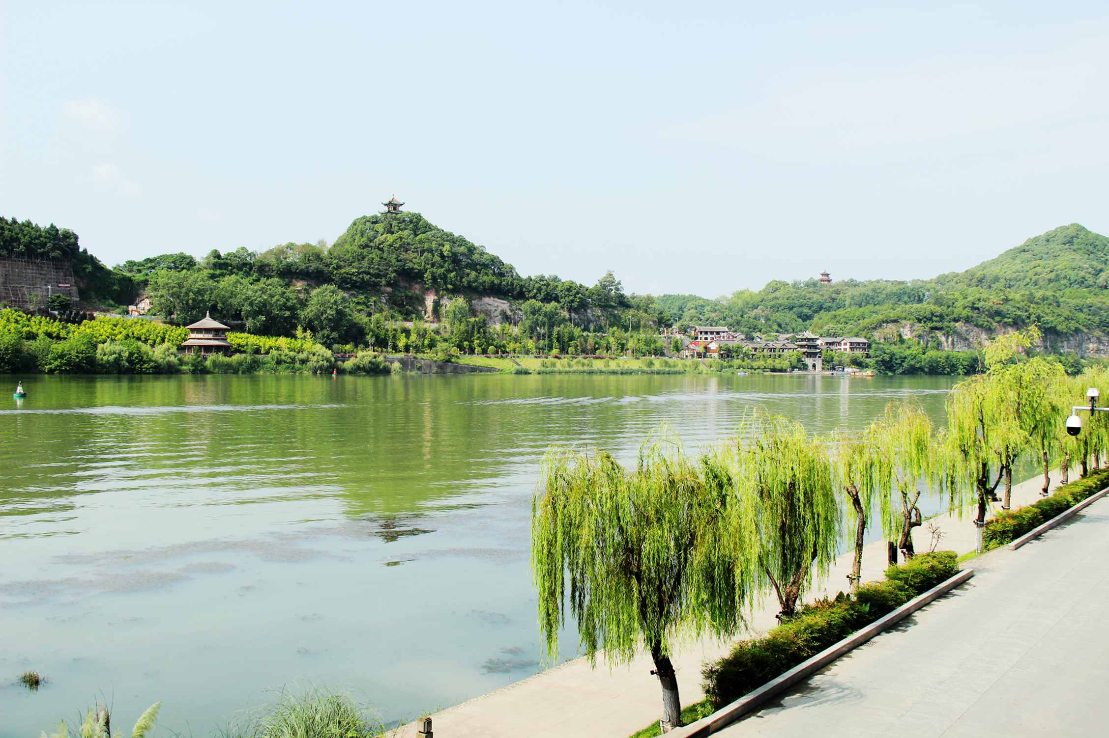 陇南行 710.jpg