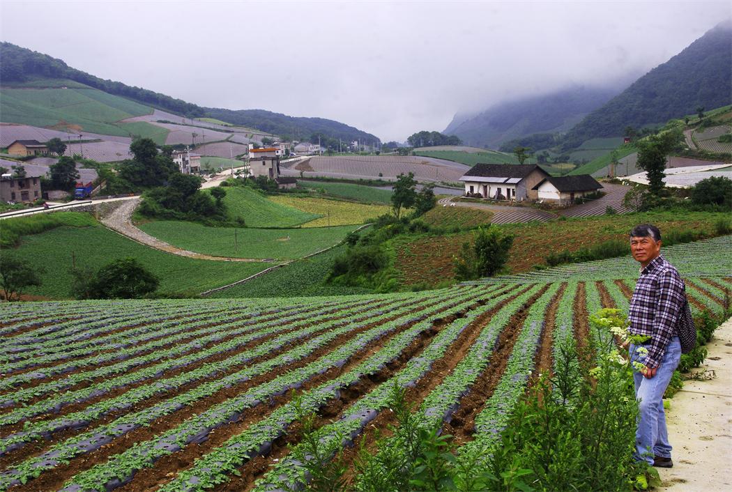 _igp7295.jpg