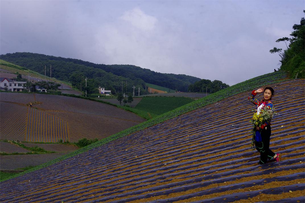 _igp7353.jpg