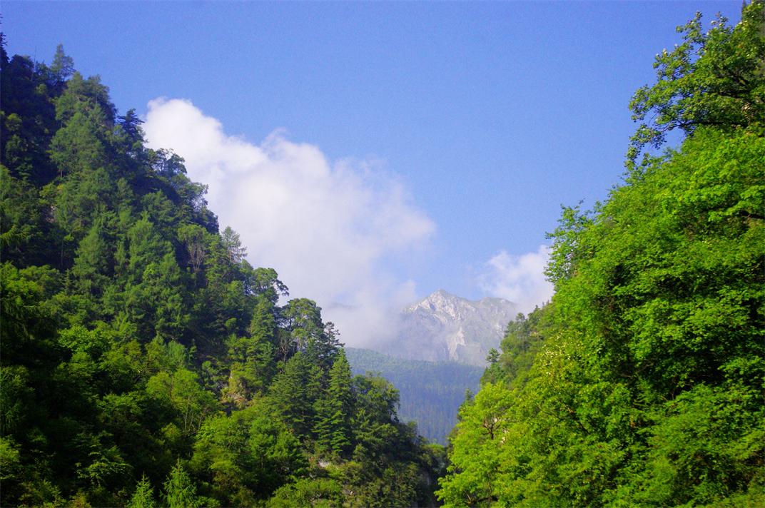 _igp6640.jpg