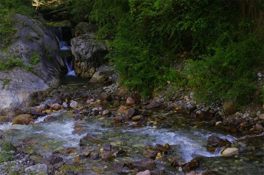 _igp6733.jpg