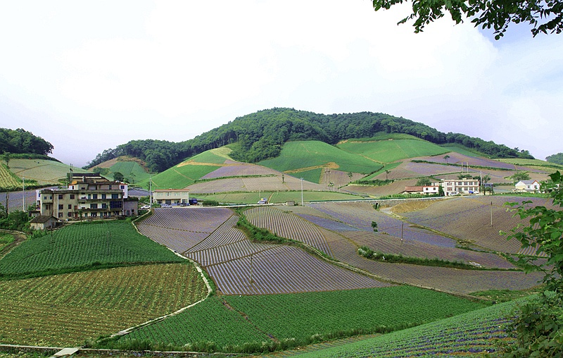 _mg_9943.jpg