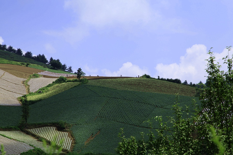 _mg_0234.jpg