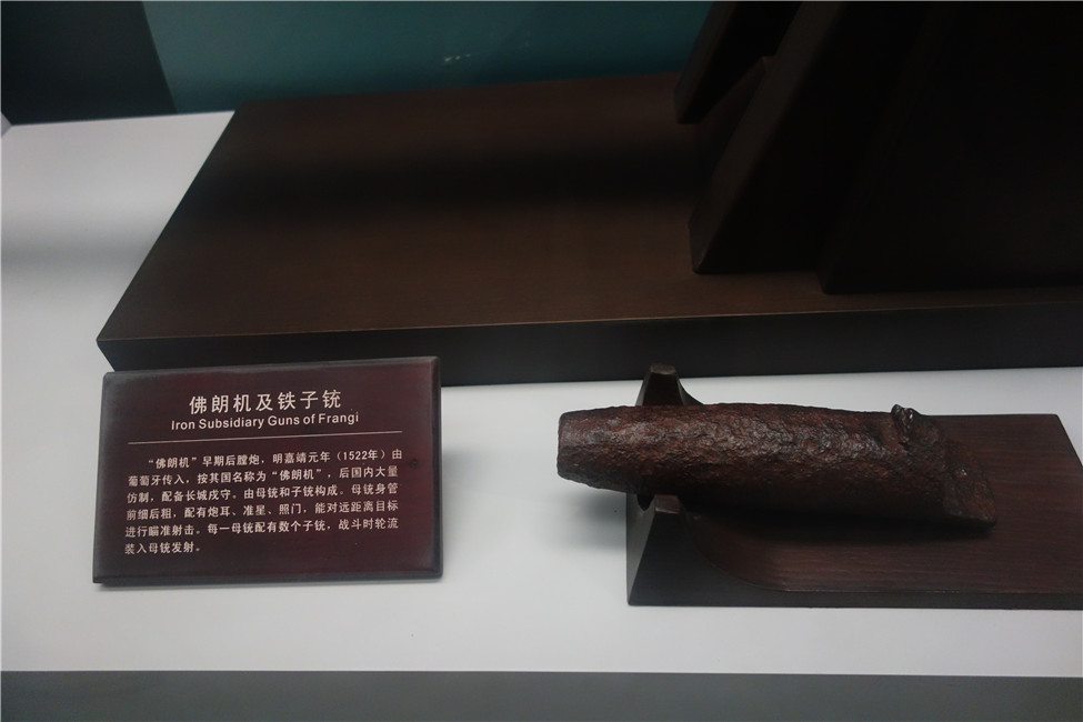 dsc01174.jpg