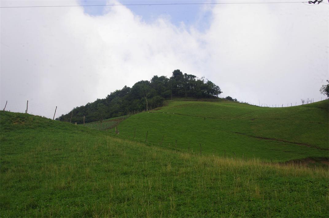 _igp7479.jpg