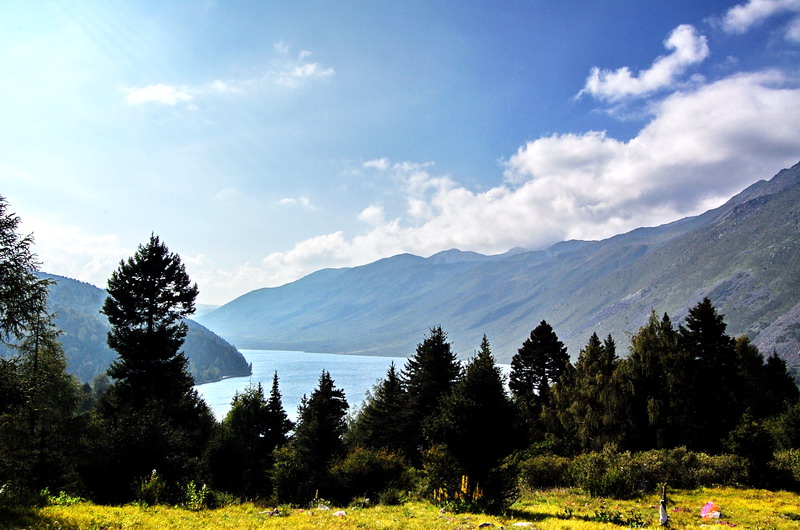 dsc_1323.jpg