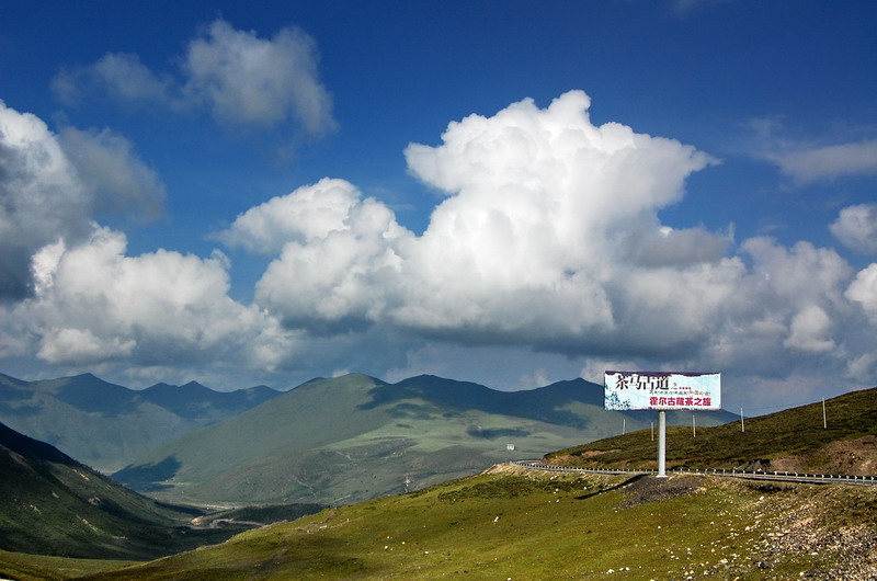 dsc_1351.jpg
