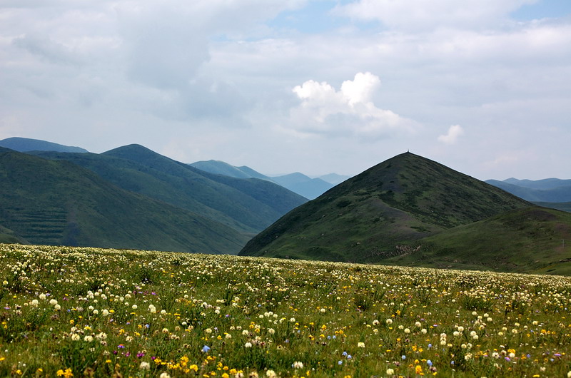 dsc_1363.jpg