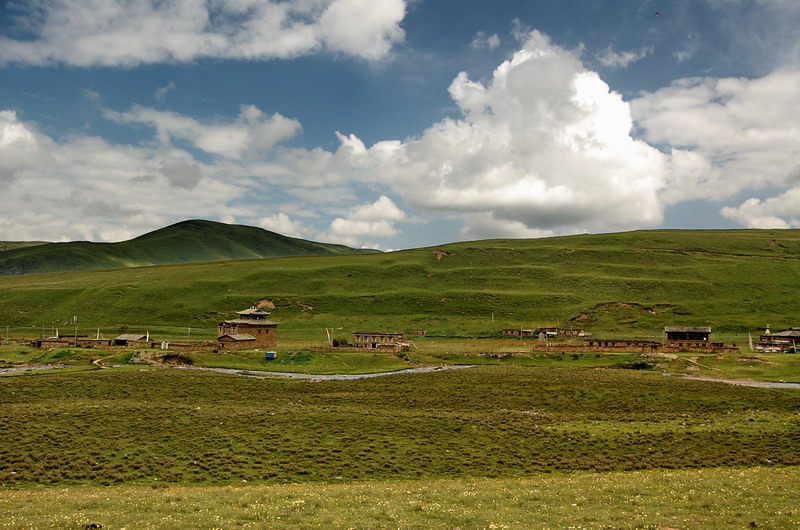 dsc_1369.jpg
