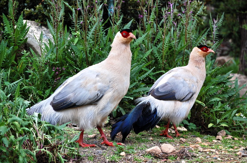 dsc_1422.jpg