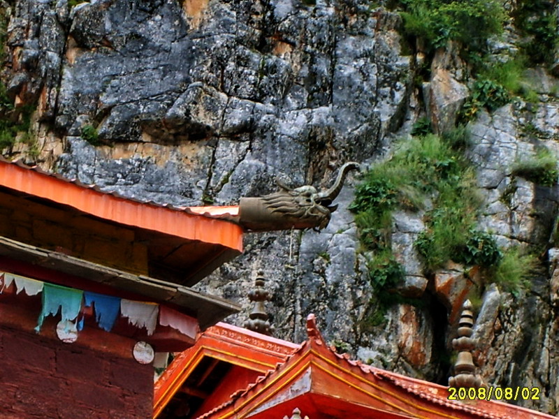 s5003256.jpg