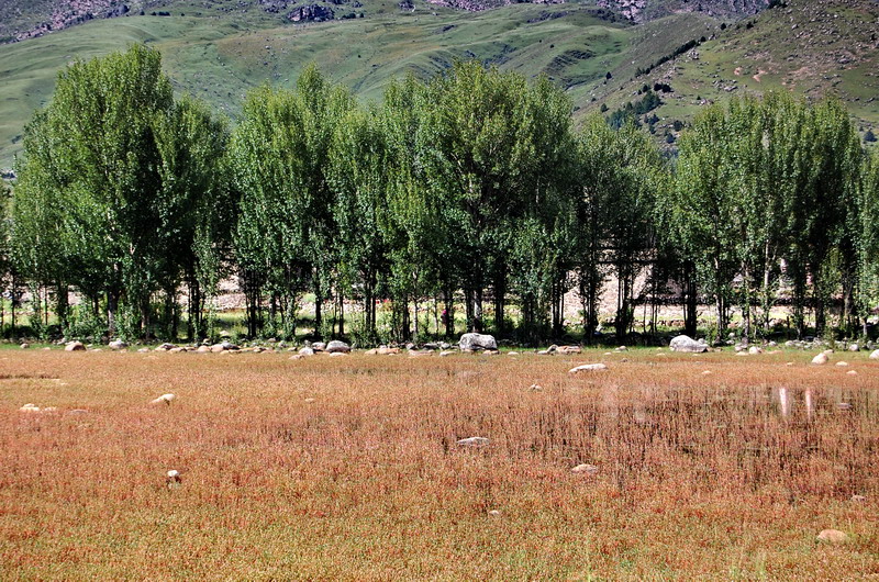 dsc_1444.jpg
