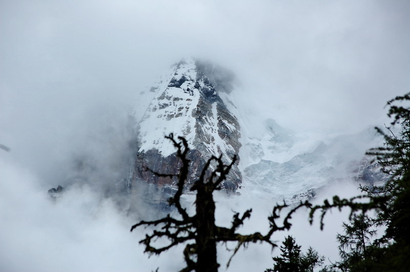 dsc_1517.jpg