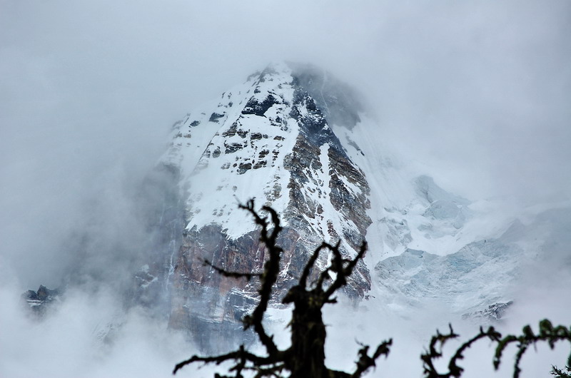 dsc_1518.jpg