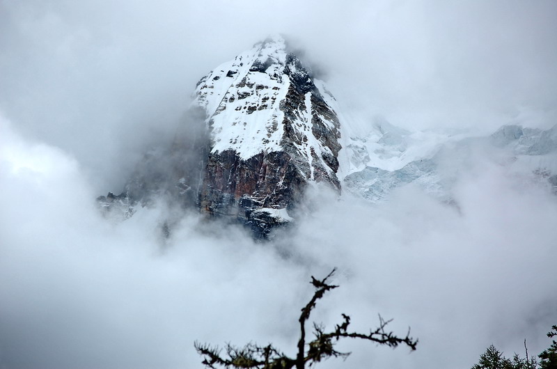 dsc_1520.jpg
