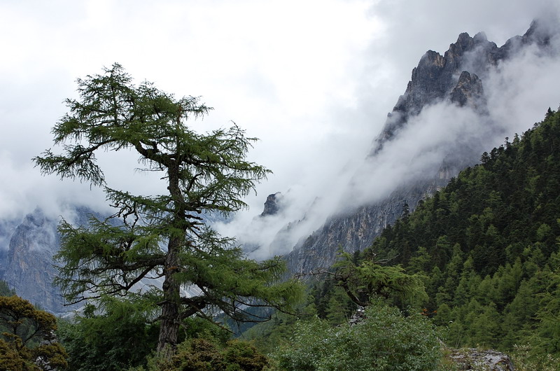 dsc_1524.jpg