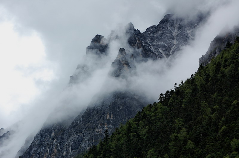 dsc_1530.jpg