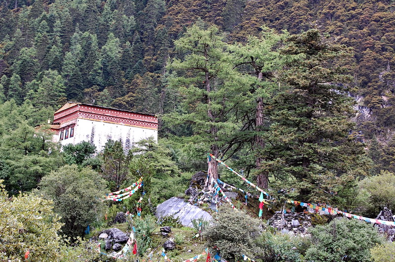 dsc_1532.jpg