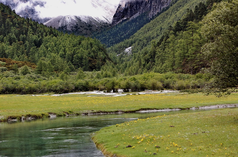 dsc_1536.jpg