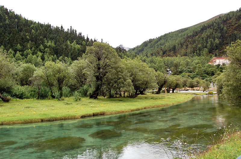 dsc_1542.jpg