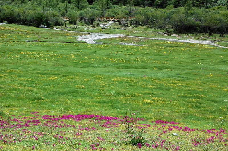 dsc_1554.jpg