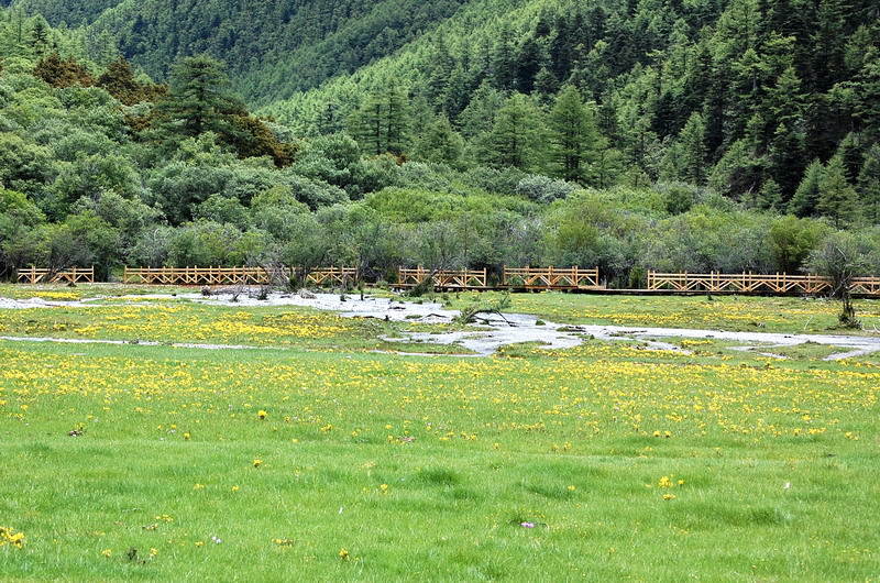 dsc_1558.jpg