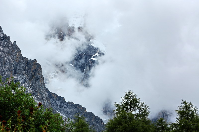 dsc_1575.jpg