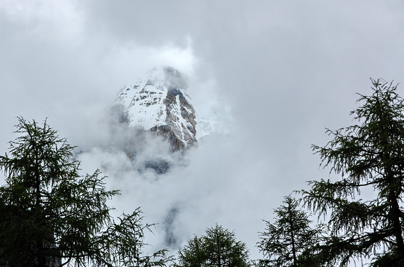 dsc_1579.jpg