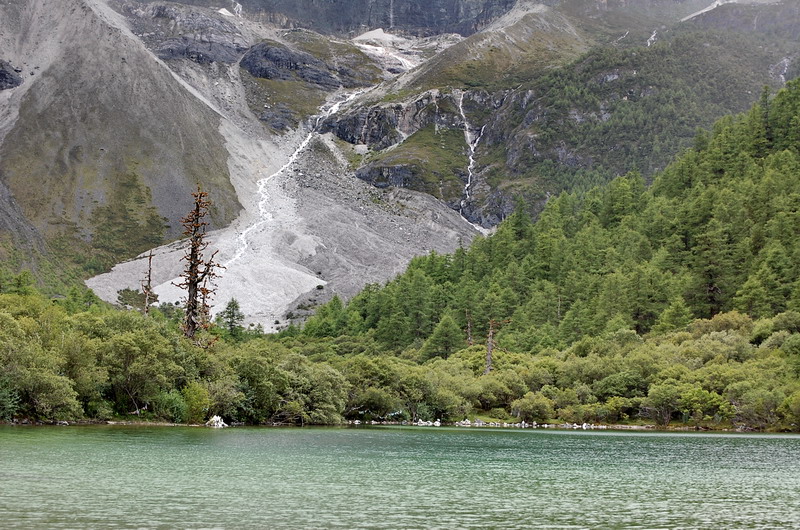 dsc_1597.jpg