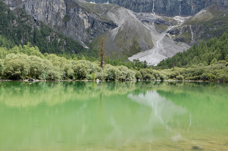 dsc_1609.jpg