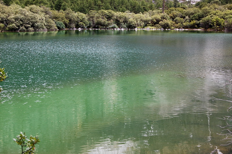 dsc_1615.jpg