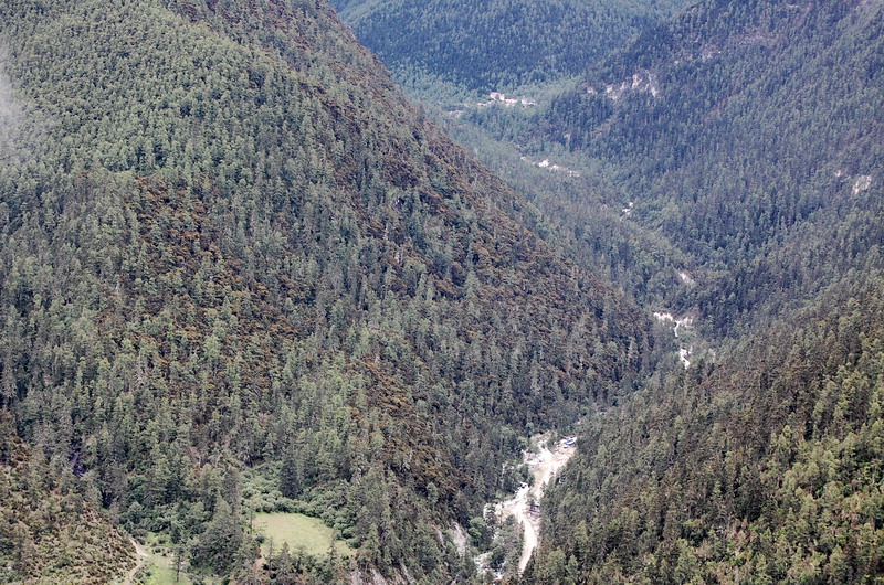 dsc_1631.jpg