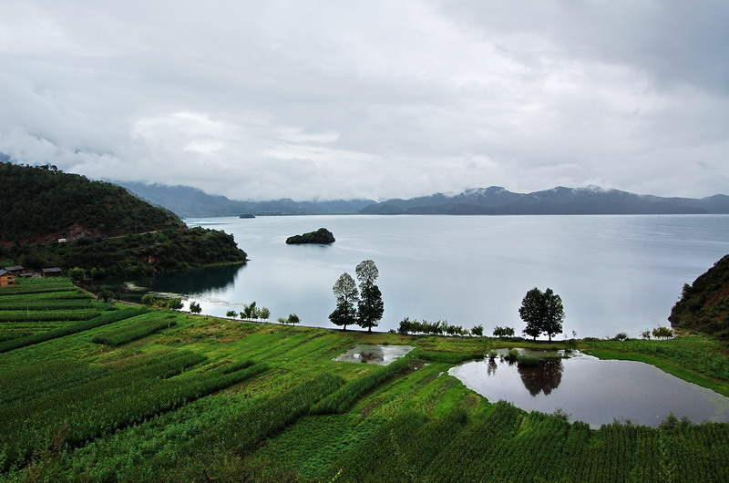 dsc_1656.jpg