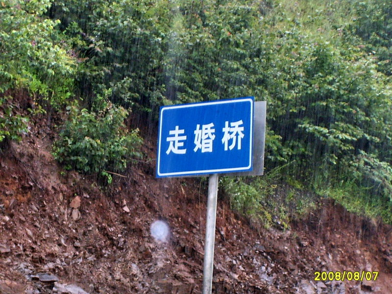 s5003555.jpg
