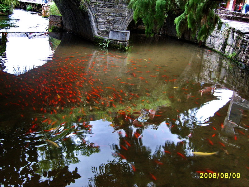 s5003694.jpg