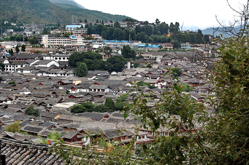 dsc_1765.jpg