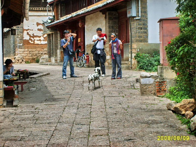 s5003729.jpg