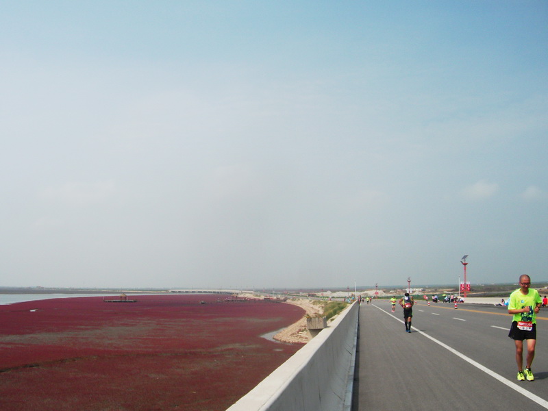 dscf0132.jpg