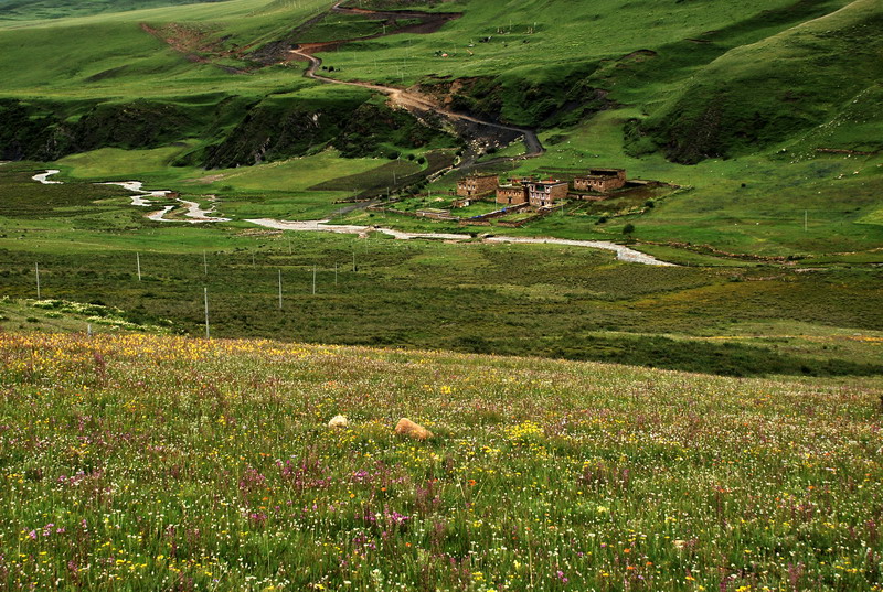 dsc_0064.jpg