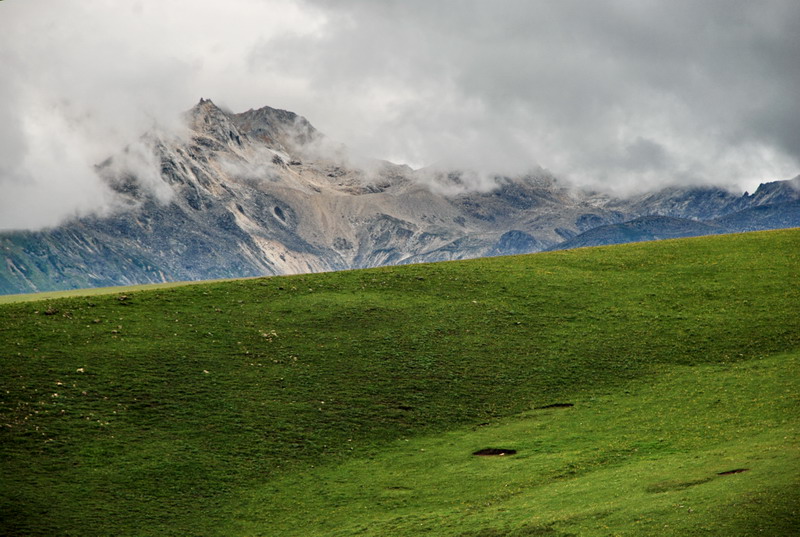 dsc_0079.jpg