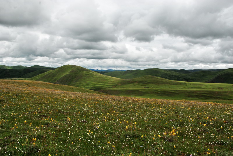dsc_0087.jpg