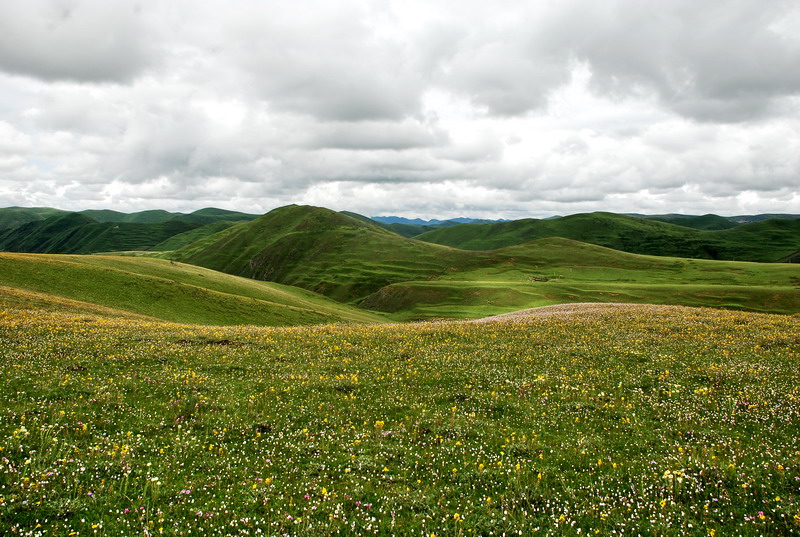 dsc_0099.jpg