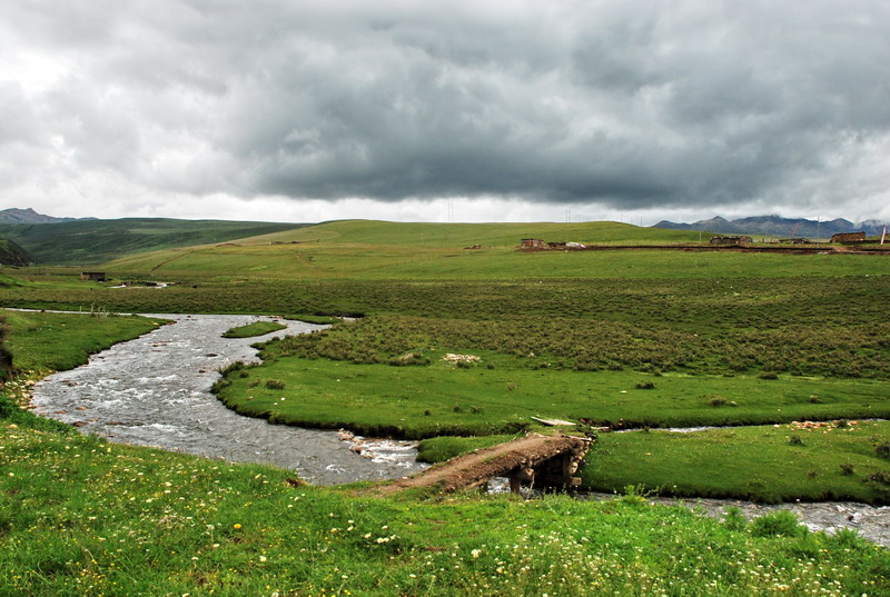 dsc_0106.jpg